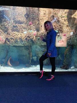 La aquarium