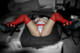 Private Photo of Dark_Lilith