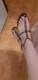 Foto privada de dreamlessweet