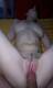 Foto privata di pinkpiggy