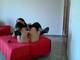 Foto privada de eva_cattiva