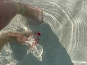 Video amateur de SweetFeet38